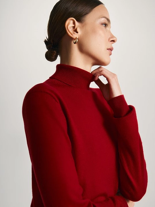 Джемпер с высоким горлом и длинным рукавом Elis арт. JM0273V